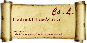 Csetneki Lavínia névjegykártya